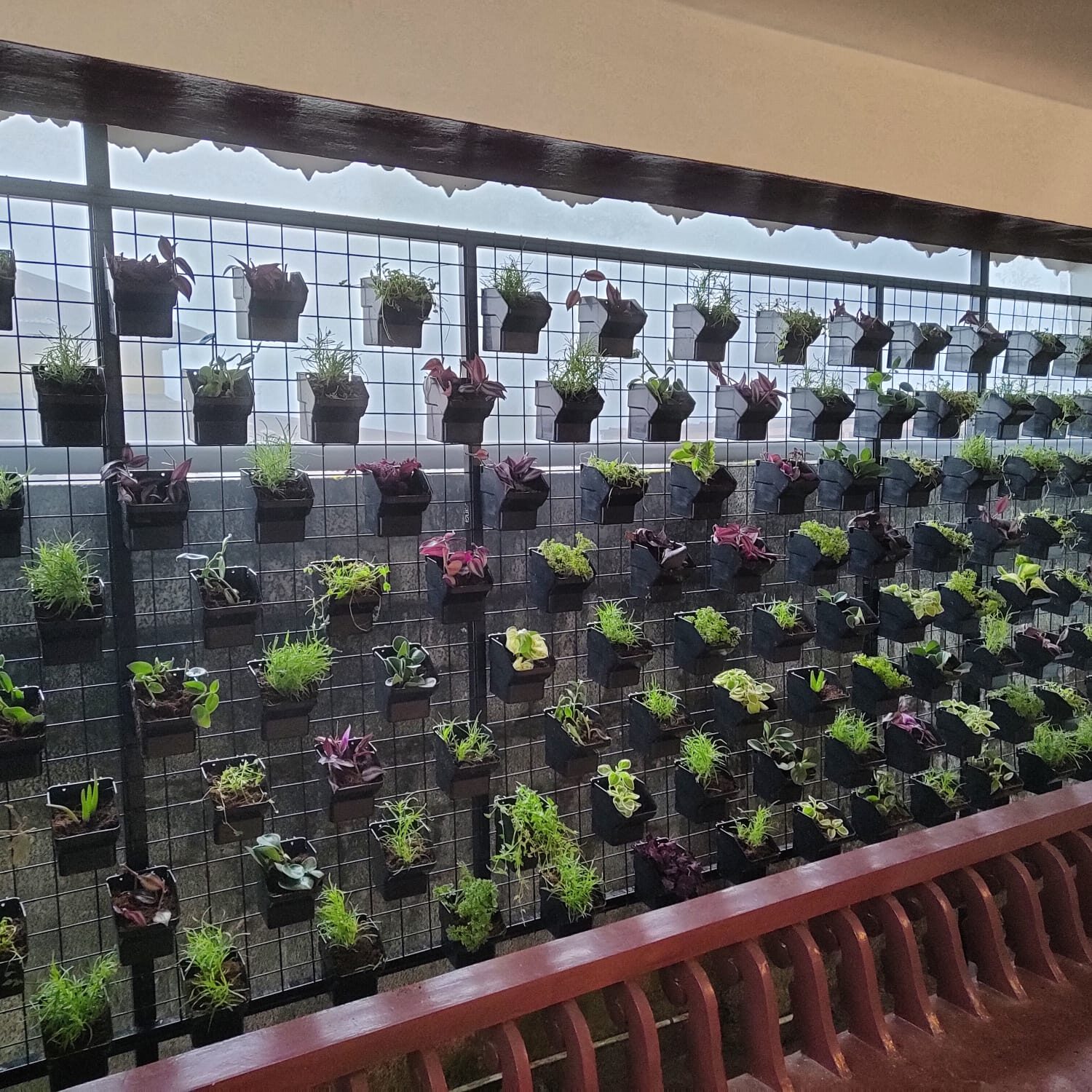 Wall of potted plants and greenery