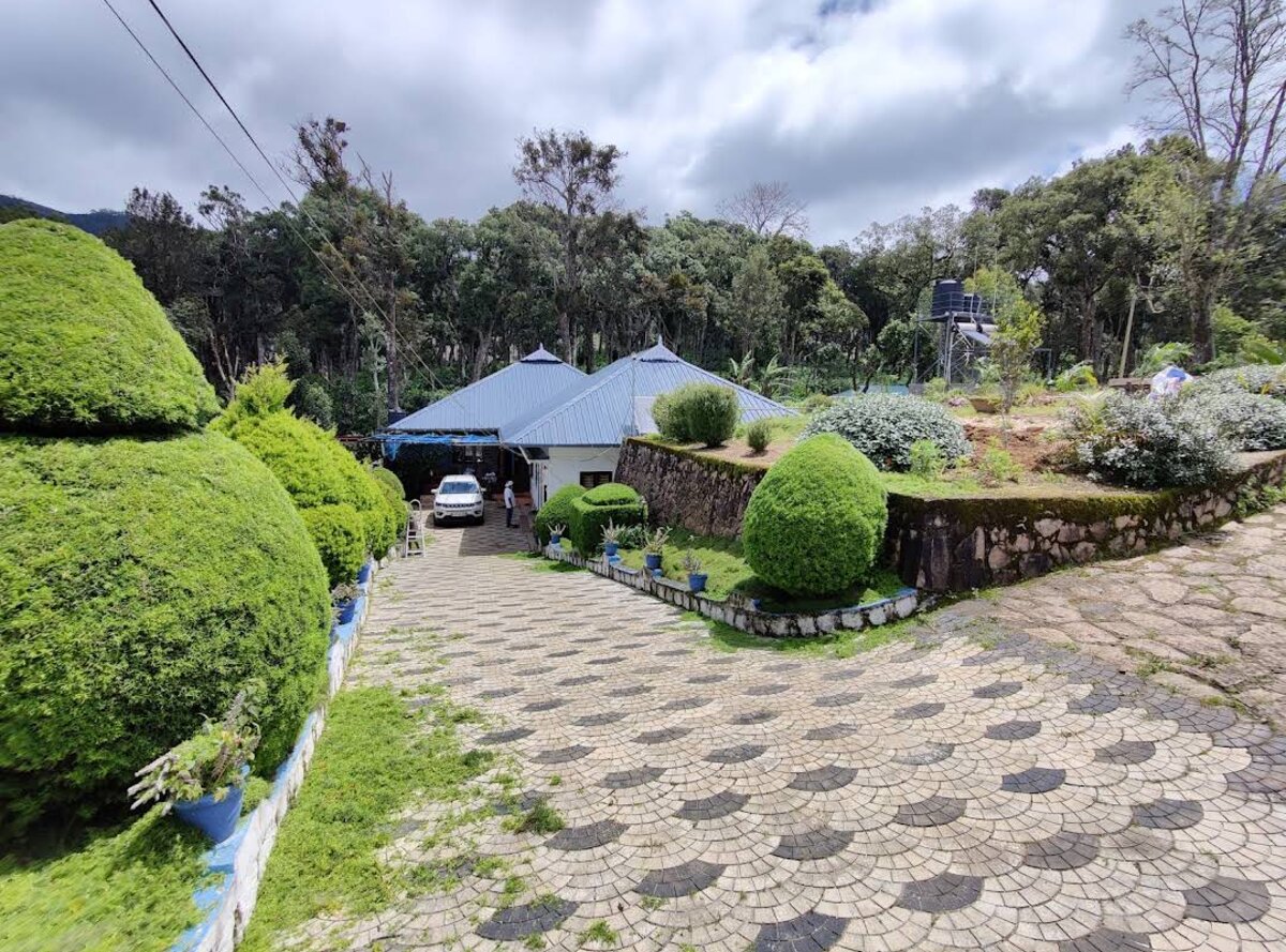 The blue-roofed homestay house framed by trimmed hedges and forest trees